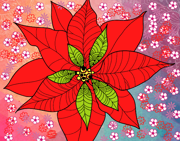 Desenho Flor de poinsétia pintado por luzinda