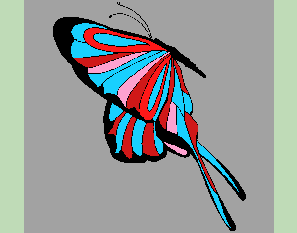 Desenho Borboleta com grandes asas pintado por carmasiana