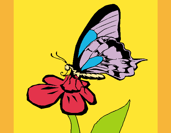 Desenho Borboleta numa flor pintado por carmasiana