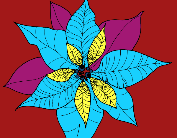 Desenho Flor de poinsétia pintado por RaphaFerra