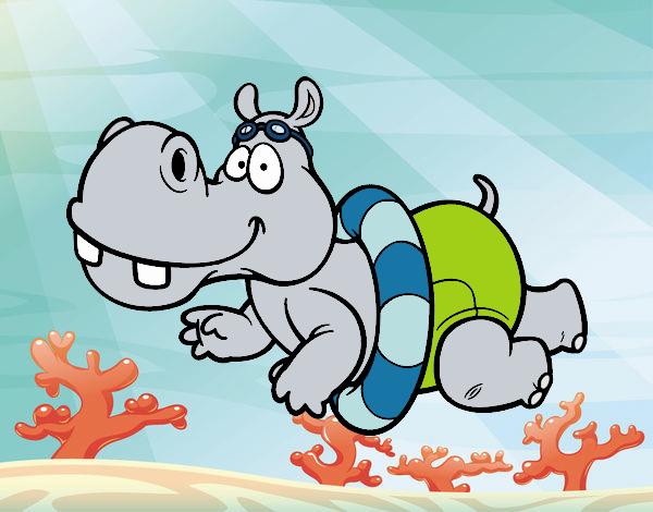 Hipopótamo natação