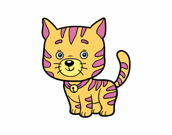 Desenho Um gato doméstico pintado por RaphaFerra