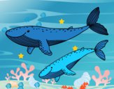 Desenho Baleias pintado por repelstelt