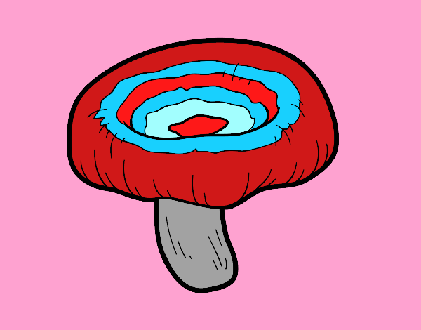 Desenho Cogumelo lactarius torminosus pintado por carmasiana