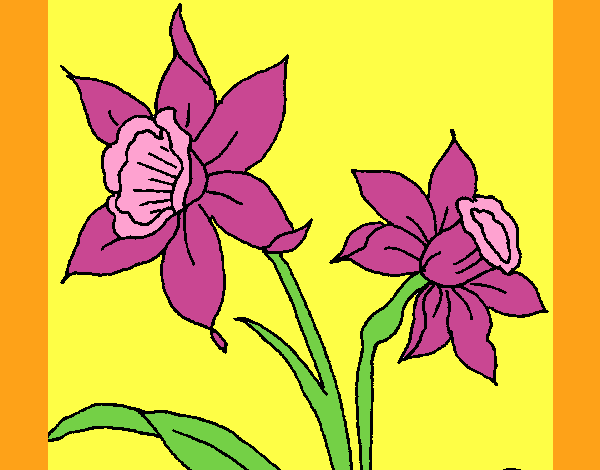 Desenho Orquídea pintado por carmasiana