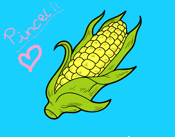 Desenho Um sabugo de milho pintado por AndressaBR