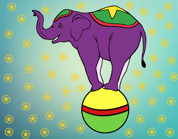 Desenho Elefante equilibrista pintado por eluane