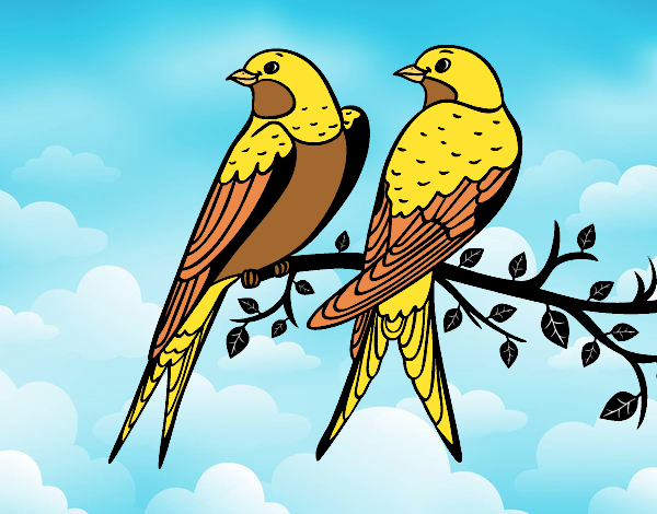 Desenho Par de pássaros pintado por Lari_583