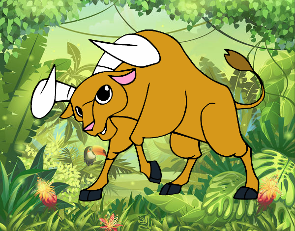 o toro da selva