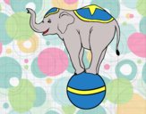 Desenho Elefante equilibrista pintado por ELIE