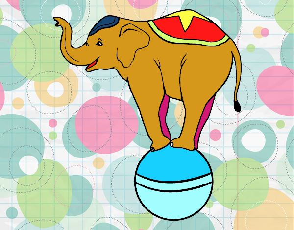 Desenho Elefante equilibrista pintado por Giovannamg