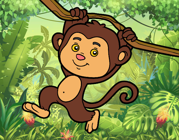 Desenho de Macaco pendurado em um galho pintado e colorido por Usuário não  registrado o dia 19 de Maio do 2017
