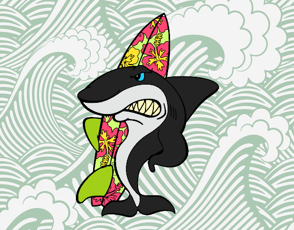 Tiburão surfista