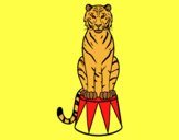Desenho Tigre do circo pintado por ceciliaz