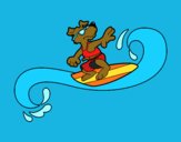 Desenho Cão surfing pintado por jabuti