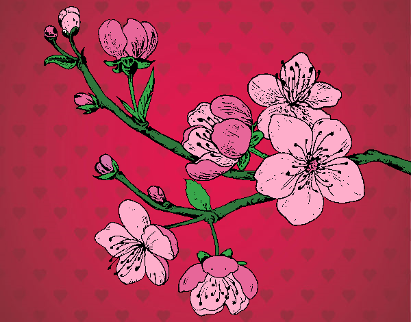 Desenho Filial da cereja pintado por Mileny