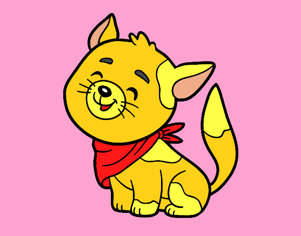 Desenho Gato com bandana pintado por Valeriah