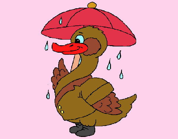 Desenho Pato sob a chuva pintado por CRIADO