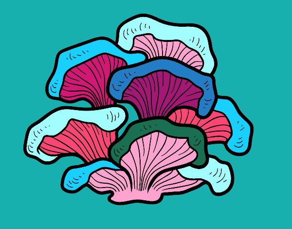 Desenho Cogumelo pleurotus pintado por alya
