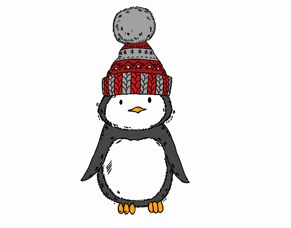 pinguinzinho com frio 