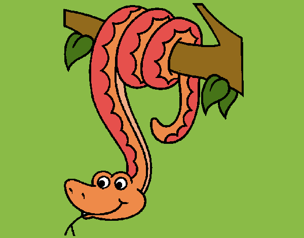 Desenho de Serpente pendurada numa árvore pintado e colorido por