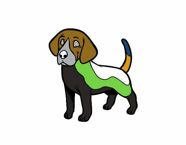 Desenho Cão Beagle pintado por dirce