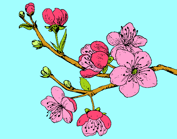Desenho Filial da cereja pintado por alya