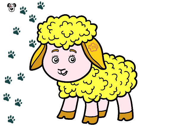 pequena ovelha