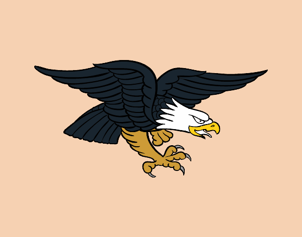 aguia do gerson