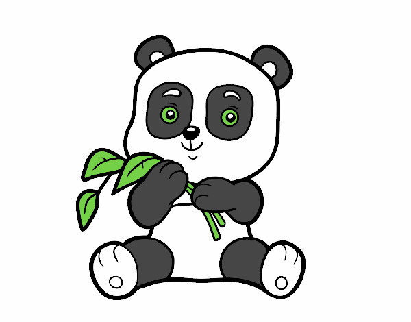 Desenho de pandas na selva para colorir