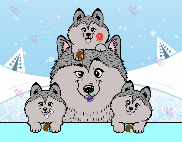 Páginas para colorir da família Wolfoo - páginas para colorir gratuitas  para impressão
