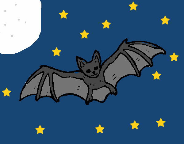 Morcego a voar