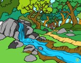 Desenho Paisagem da floresta com um rio pintado por Hermione