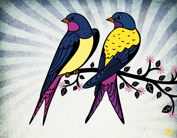 Desenho Par de pássaros pintado por Hermione
