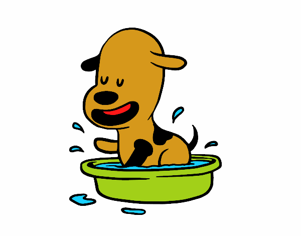 Um cachorro na banheira
