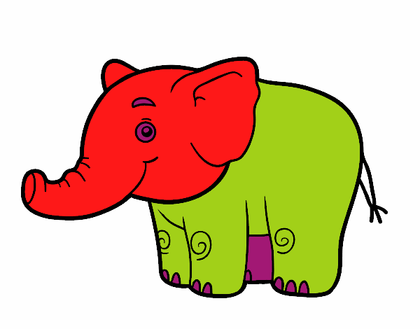 Um pequeno elefante
