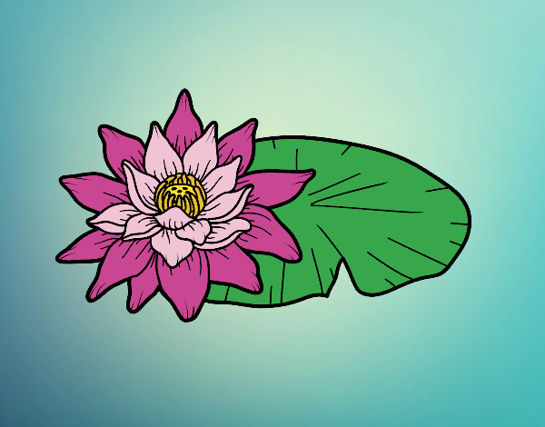 Desenho Uma flor de lotus pintado por Ferabreu