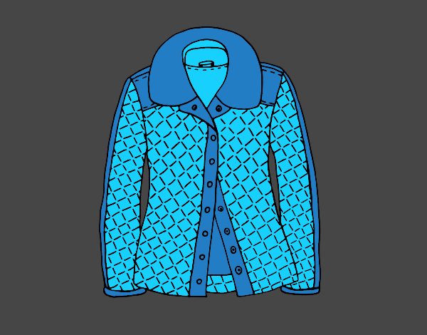 Uma jaqueta