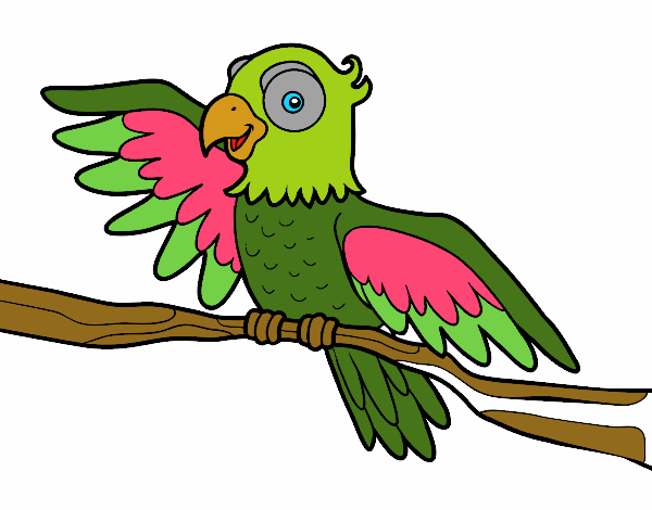 Desenho Papagaio en liberdade pintado por orandi