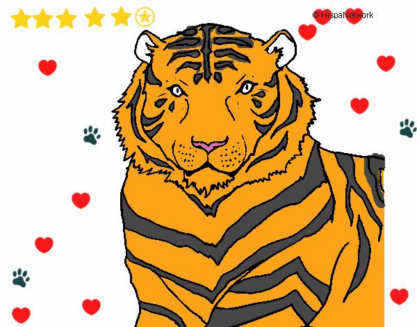 Desenho Tigre pintado por Hinami
