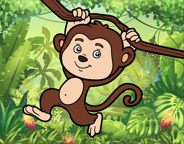 Desenho de Macaco pendurado em um galho pintado e colorido por