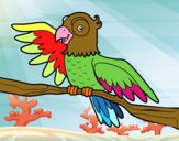 Desenho Papagaio en liberdade pintado por RODRIGORMC