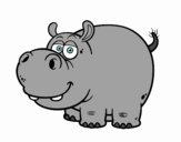 Desenho Hipopótamo-comum pintado por carolina22