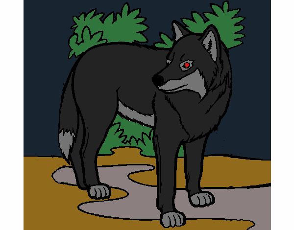 Desenho Lobo pintado por pantu136