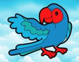 Desenho Papagaio abrir a asa pintado por ceciliaz