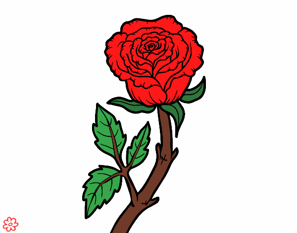 Desenho Rosa selvagem pintado por vanalb