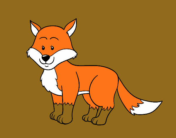 Uma raposa