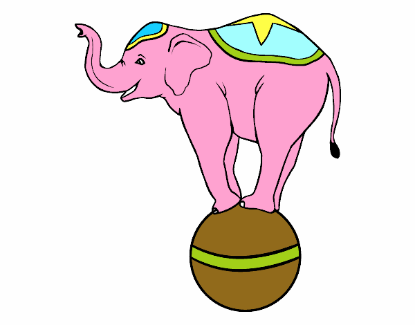 elefante do circo
