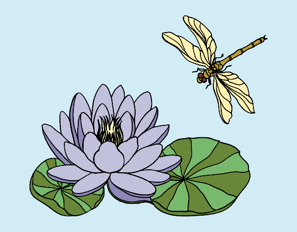 Desenho Flor de lotus pintado por GAIBS