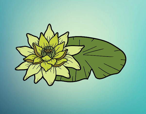 Desenho Uma flor de lotus pintado por Patricia99